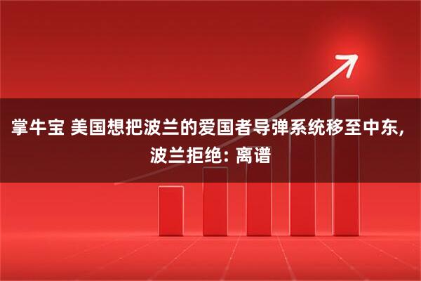 掌牛宝 美国想把波兰的爱国者导弹系统移至中东, 波兰拒绝: 离谱