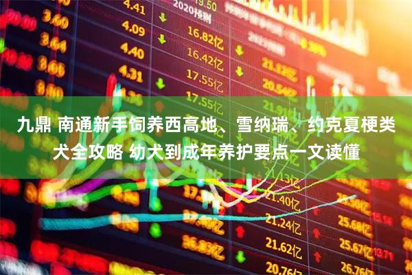 九鼎 南通新手饲养西高地、雪纳瑞、约克夏梗类犬全攻略 幼犬到成年养护要点一文读懂