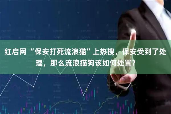 红启网 “保安打死流浪猫”上热搜，保安受到了处理，那么流浪猫狗该如何处置？