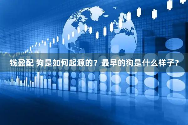 钱盈配 狗是如何起源的？最早的狗是什么样子？