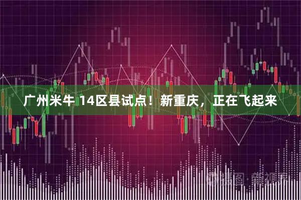 广州米牛 14区县试点!新重庆,正在飞起来