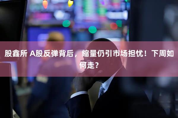 股鑫所 A股反弹背后，缩量仍引市场担忧！下周如何走？